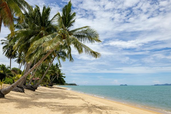 Guide des repas pas chers autour du monde : les destinations à ne pas manquer