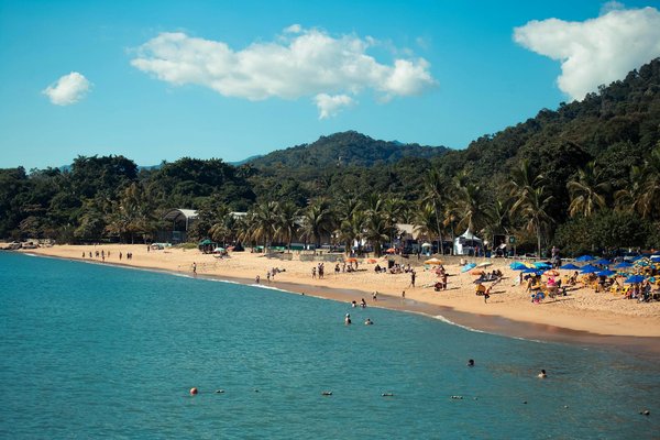 Les campings en Dordogne acceptant les animaux de compagnie